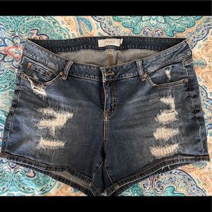Distressed Denim Shorts